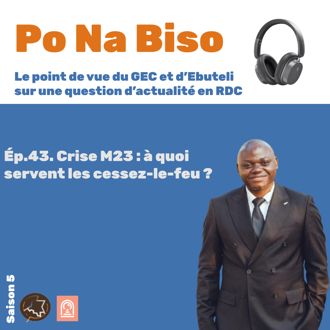 Crise M23 : à quoi servent les cessez-le-feu ?