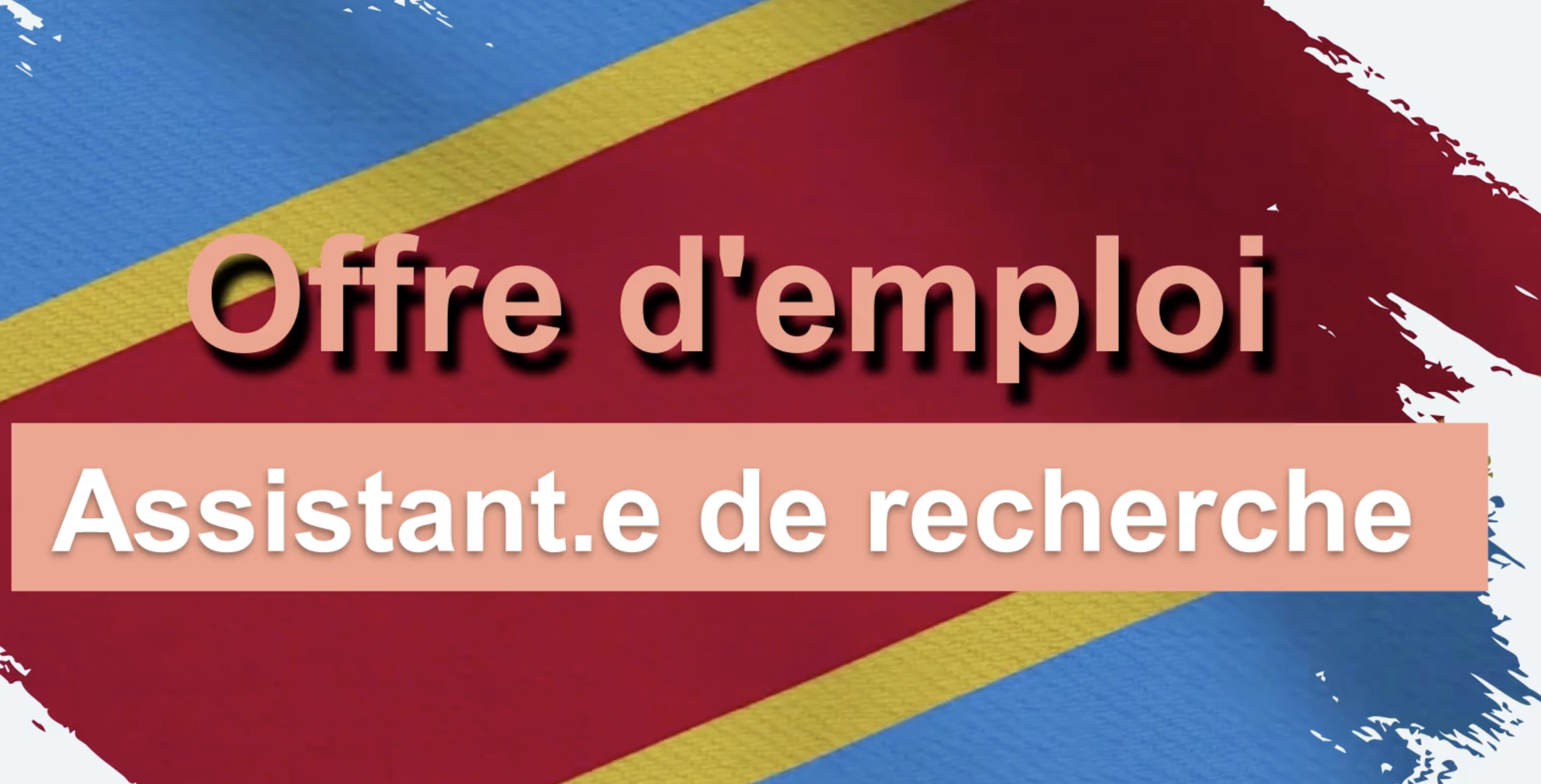 Offre d'emploi  - Assistant.e de recherche