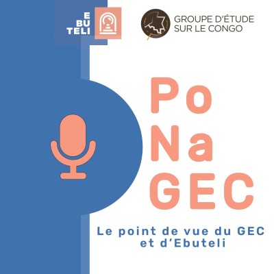 RDC : pourquoi il faut auditer à nouveau le fichier électoral